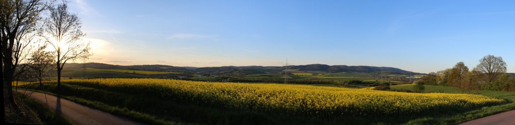 Sprachrepeater Papagei Donnersberg